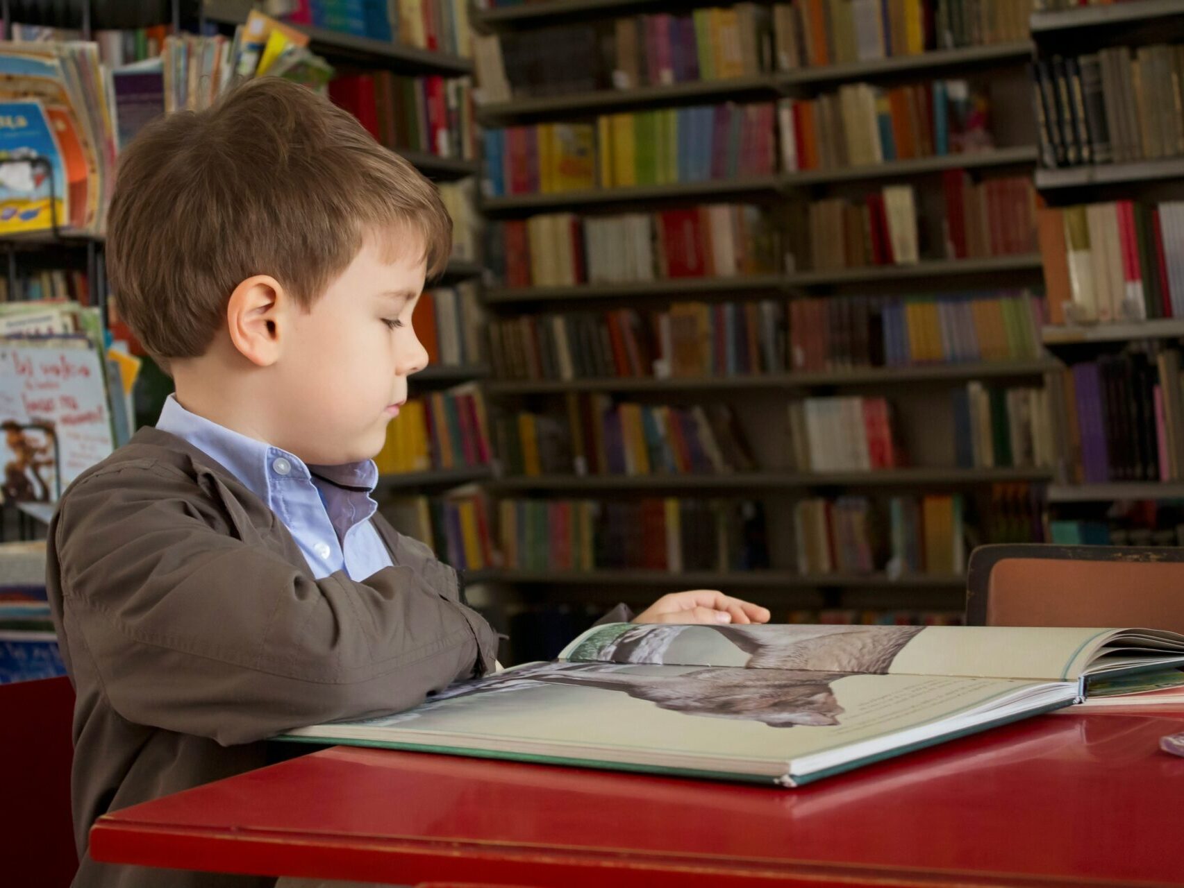 Young boy at red table in library, reading a book