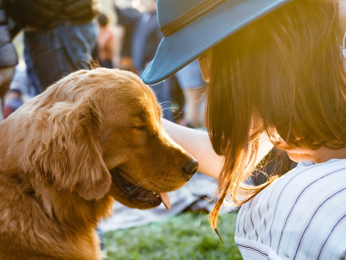 closeup photography of woman petting a dog