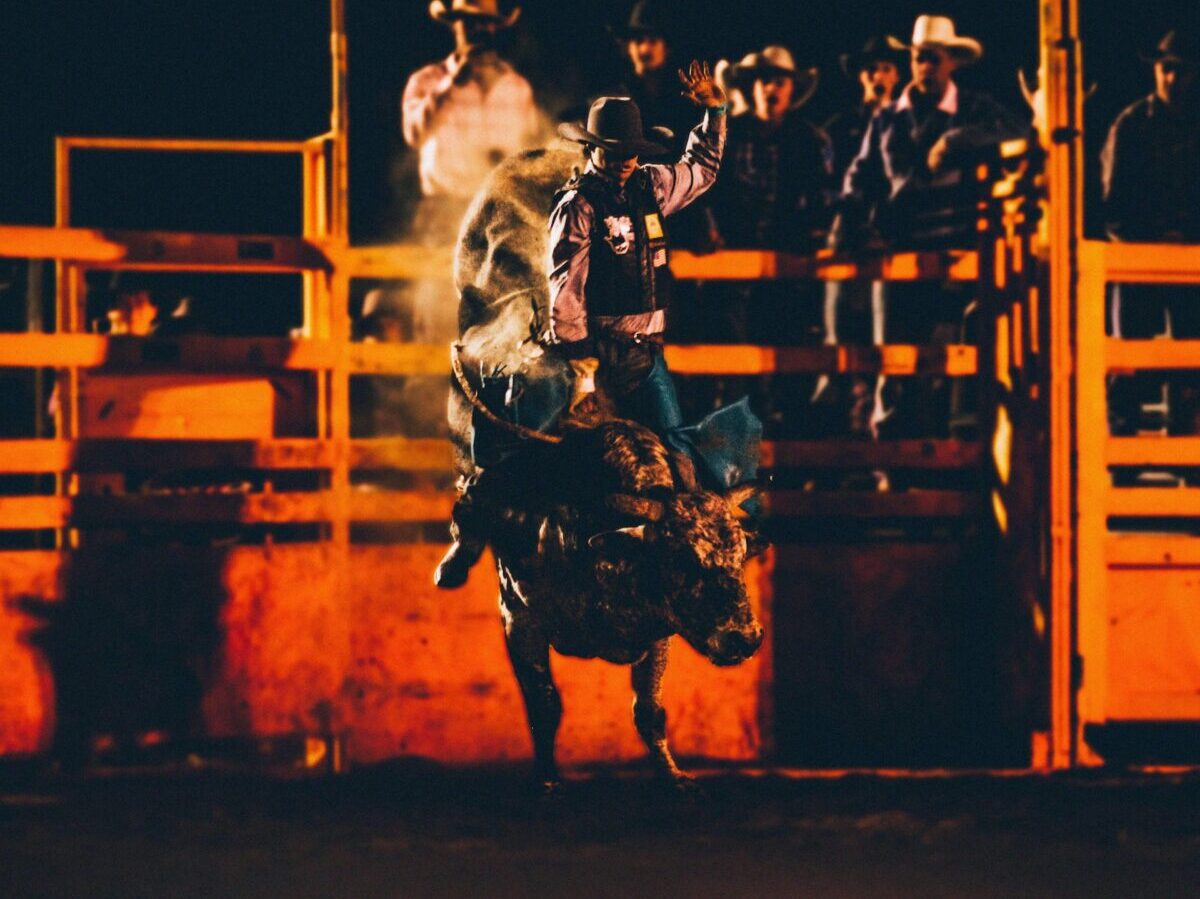bull riding at the rodeo with a man on a bull holding on with one hand while the other is in the air