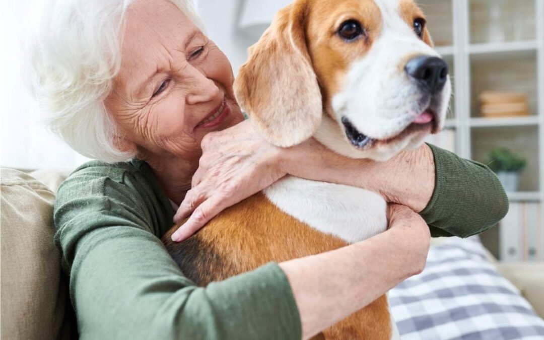 Pet-Friendly Senior Living in Austin: 8 Welcoming Places