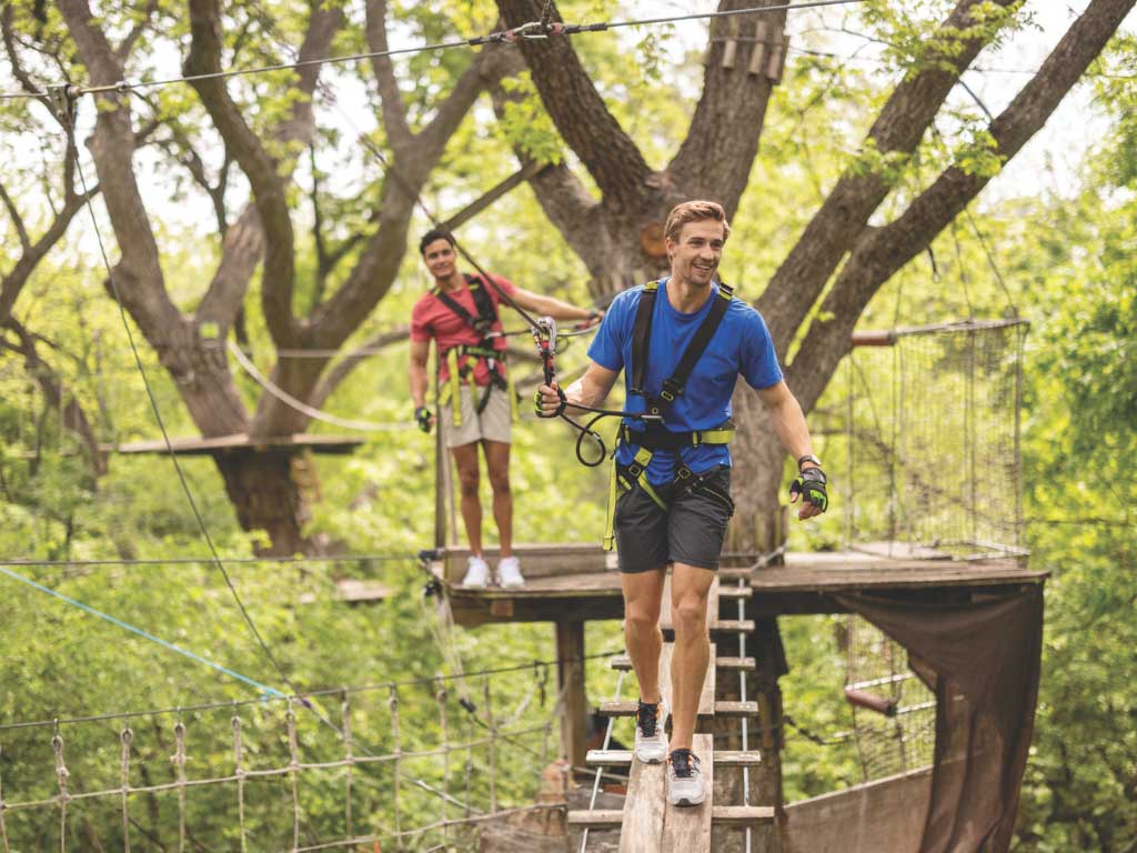 5612251533519196   6