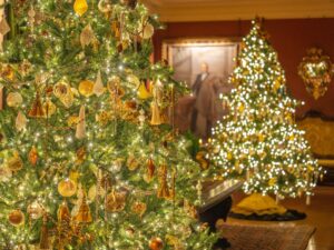 Christmas trees. Best Holiday Events in Austin